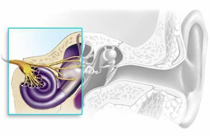 کاهش شنوایی مختلط