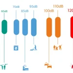 افت شنوایی ناشی از صدا