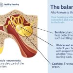 چگونه تعادل و شنوایی به هم متصل هستند و چرا این موضوع اهمیت دارد؟